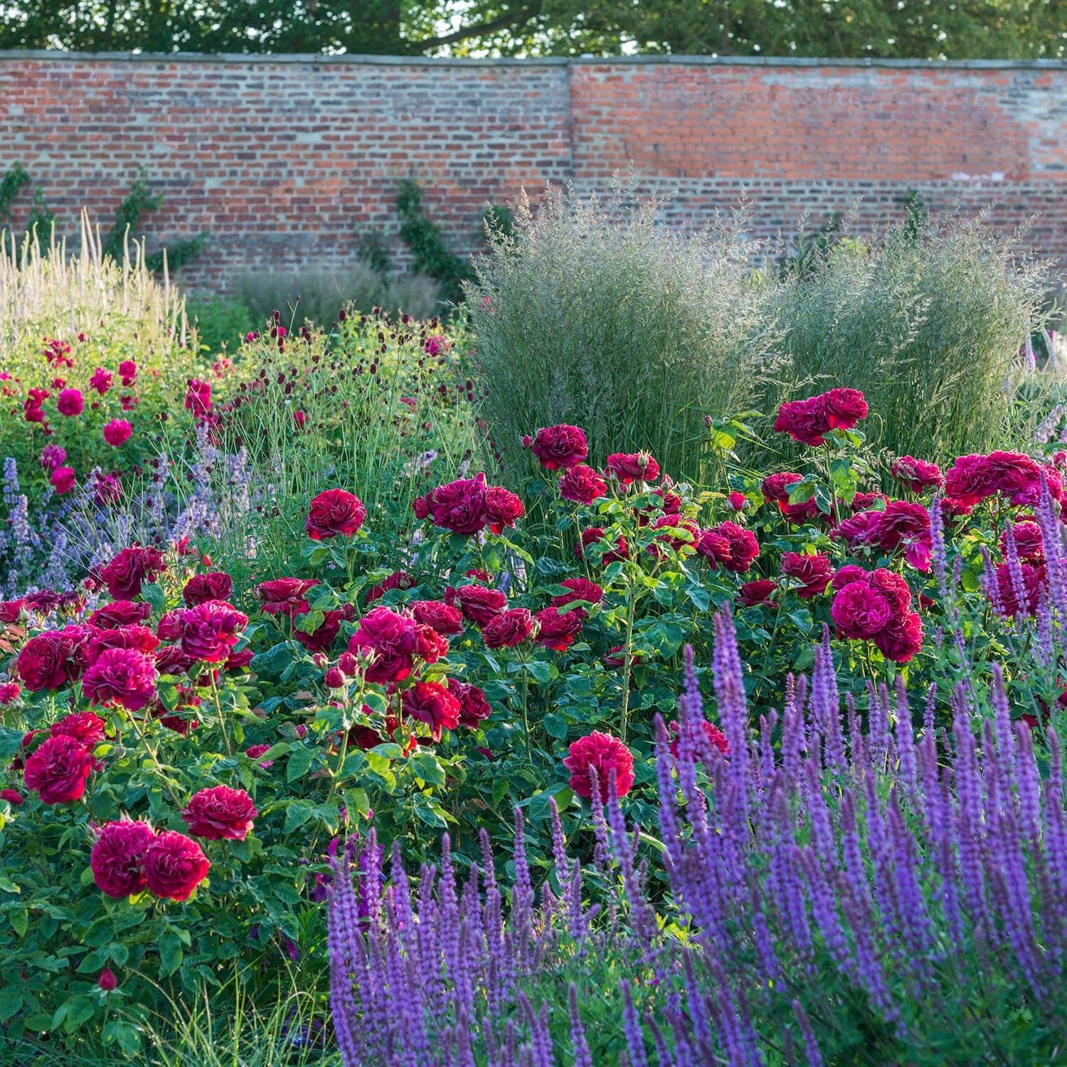 Darcey Bussell®