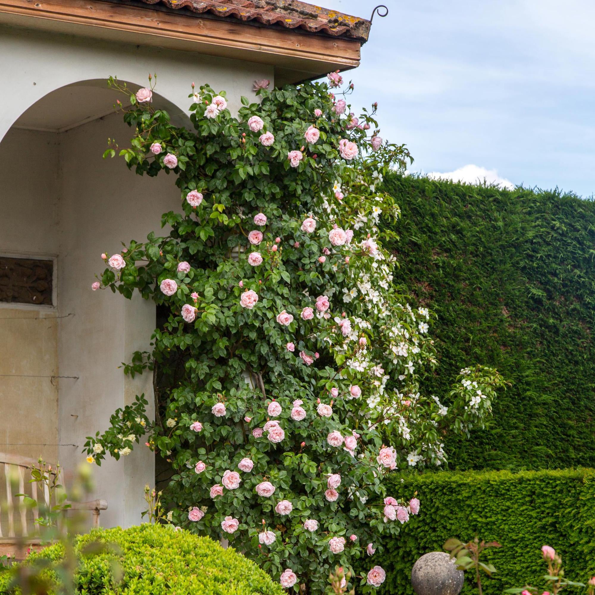 The Generous Gardener®