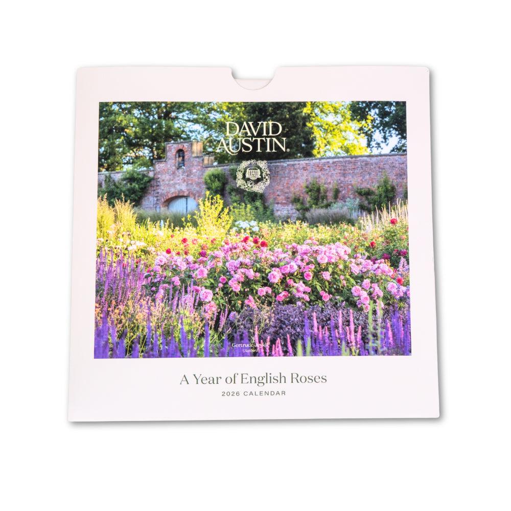 David Austin 2026 Wall Calendar