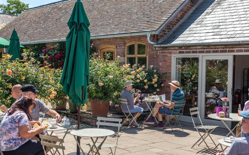 Wide shot of The Garden Room, a cafe at David Austin roses