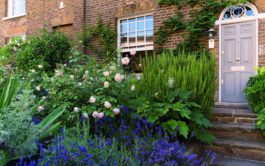 Shaping Outdoor Spaces: Miria Harris On Garden Design In Easter London